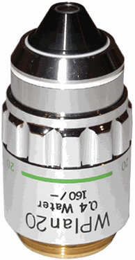olympus wplan 20x water immersion objective lens