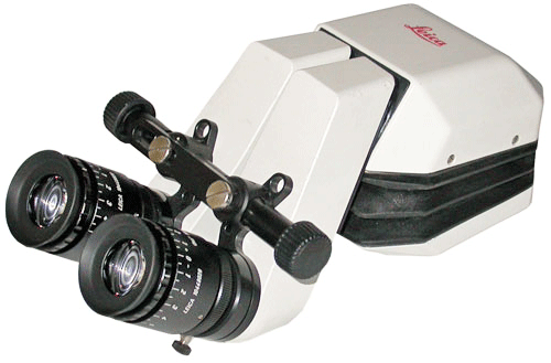 Leica 10446575 Ergo Binoc Head