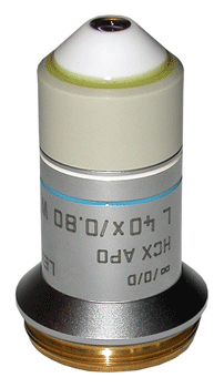 Leica HC APO L  40x W U-V-I Water Objective
