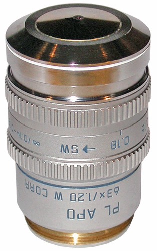Leica PLAN APO 63x Water Immersion Objective