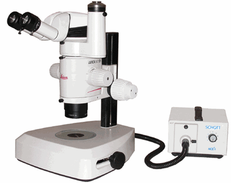 Leica MZ12.5 Ergo Stereo Microscope 10446370
