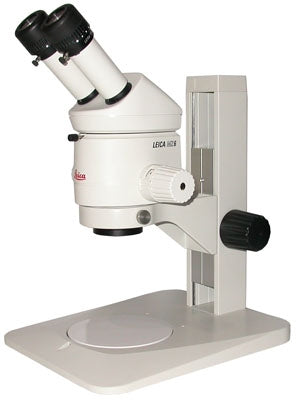 Leica MZ6 Stereo Microscope