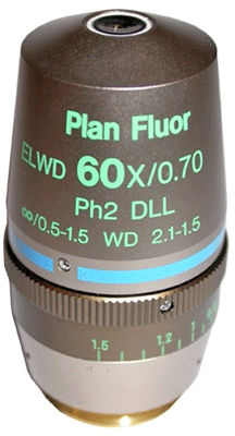Nikon CFI Plan Flour ELWD 60X Phase Contrast Objective