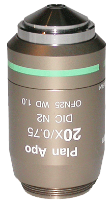 Nikon CFI Plan Apo 20x Objective