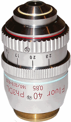 nikon fluor 40x phase objective