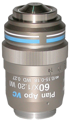 Nikon CFI Plan Apo VC 60XC WI Water Immersion Objective