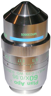 Nikon CFI Plan Apo Lambda 60x DM