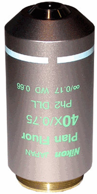 Nikon CFI Plan Fluor DLL 40x Phase Objective