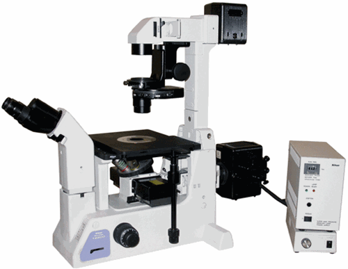 Nikon TE200 Fluorescence and Phase Contrast Inverted Microscope