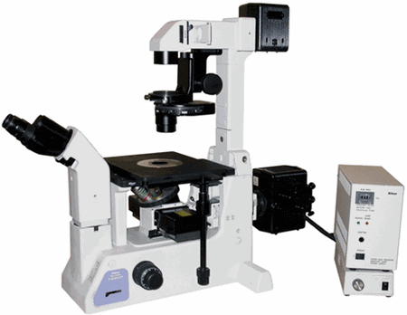Nikon TE200 Fluorescence and Phase Contrast Inverted Microscope