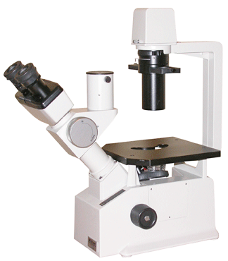Nikon TMS-F Inverted Microscope
