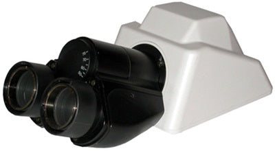 nikon binocular microscope head