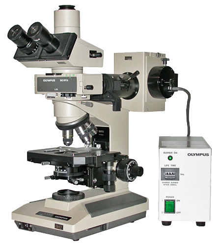 Olympus BH2 Fluorescence Microscope with Blue and Green Filter Cubes