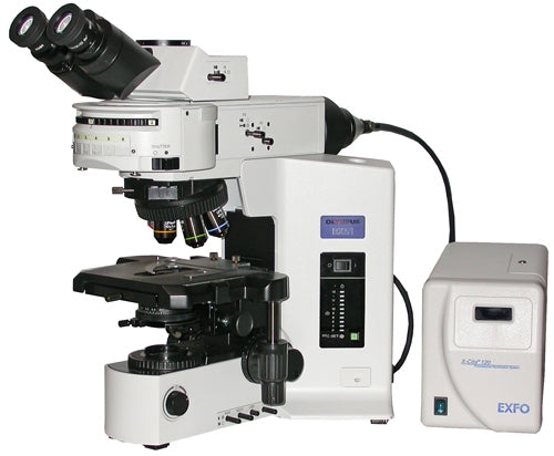 Olympus BX51 Fluorescence Microscope