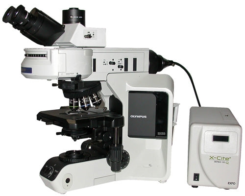 Olympus BX53 Compound Fluorescence Microscope