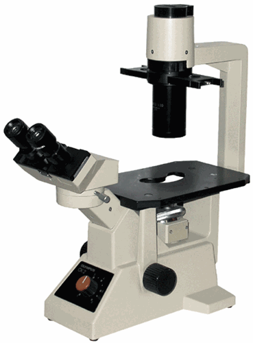 Olympus CK2 Inverted Phase Microscope