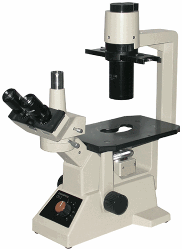Olympus CK2 Microscope with Camera Port