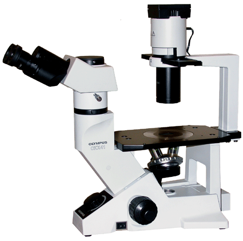Olympus CKX41 Inverted Phase Tissue Culture Microscope