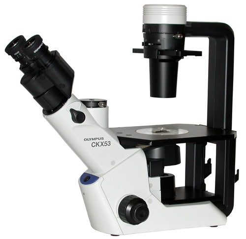 Olympus CKX53 Inverted Microscope