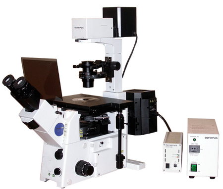Olympus IX71 Inverted Fluorescence Microscope