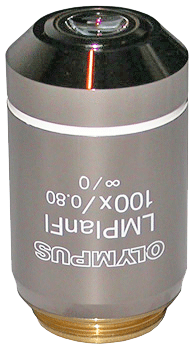Olympus LMPLANFL 100x Objective