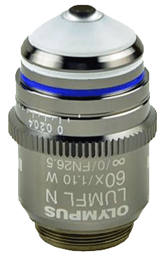 Olympus LUMFL N 60X Water Dipping Objective