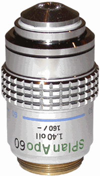 Olympus SPlan Apo 60x Objective