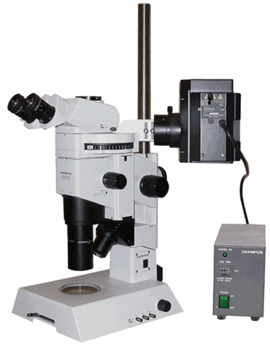 Olympus SZX12 Fluorescence Stereo Microscope on Transmitted Light Base