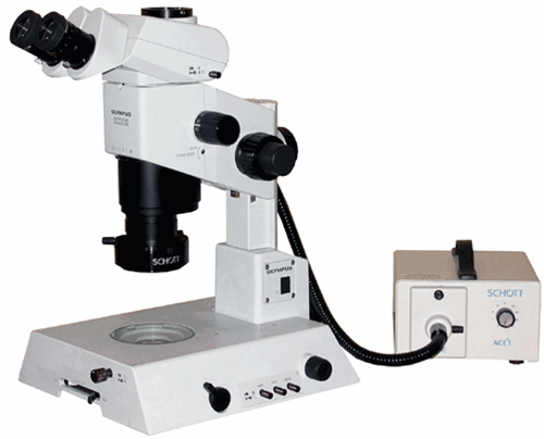 Olympus SZX12 Stereo Microscope on Transmitted Light Base
