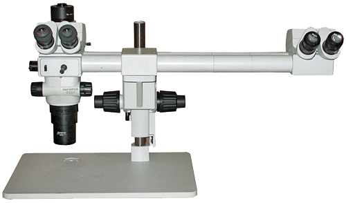 olympus szx7 teaching stereo microscope