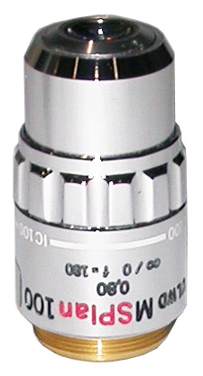 Olympus ULWDMIRPLAN 100x IR Objective