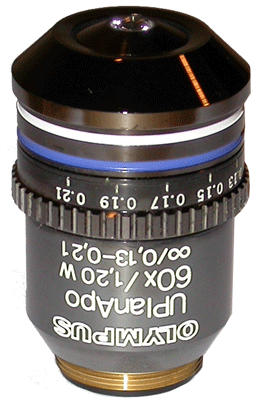 Olympus UPLANAPO 60x Water Immersion Objective