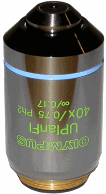 Olympus UPLANFL 40x Phase Contrast Objective