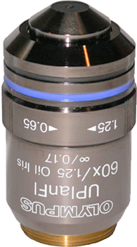 Olympus UPLANFL 60x Oil Immersion Objective