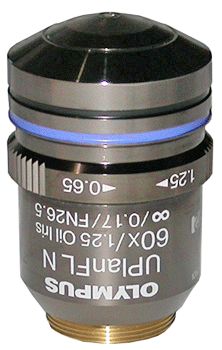 Olympus UPLFLN60XOI, N5703300