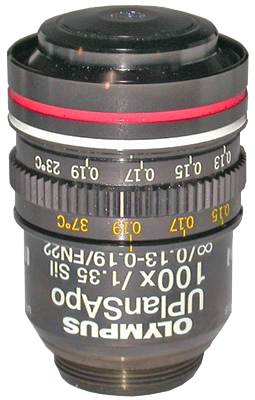 Olympus UPLSAPO100XS Silicone Objective