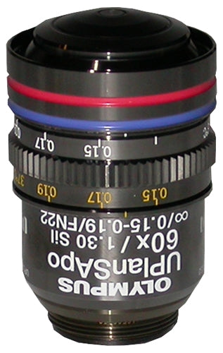 Olympus UPLANSAPO 60x Silicone Objective