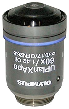Olympus UPLANXAPO 60X X Line Objective N5702300