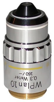 Olympus WPlan Water immersion 10x Objective