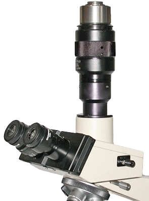 Olympus BH2 Ultra Widefield C-Mount