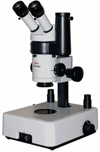 Wild M3Z on Transmitted Light Base with Camera Port