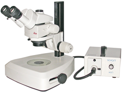 Leica M60 Stereo Microscope on Fiber Optic Tilting Mirror Base