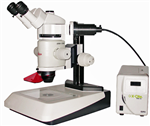 Leica MZ FLIII GFP Fluorescence Stereo Microscope