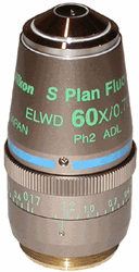 Nikon S Plan Flour 60x ELWD Phase Contrast Objective