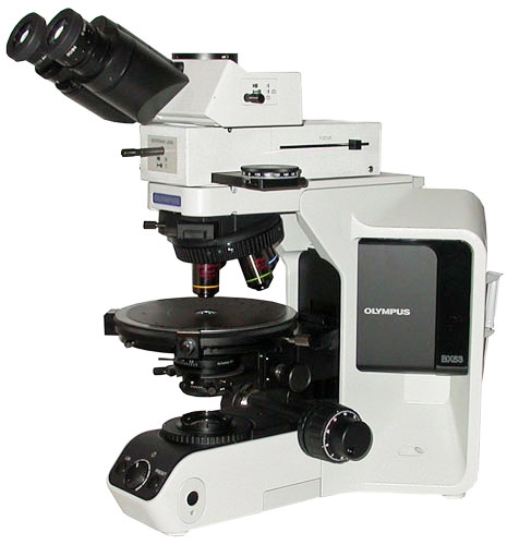Olympus BX53-P Clinical Upright Polarizing Microscope