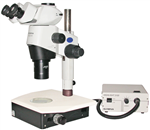 Olympus SZX16 Stereo Microscope TLB3000