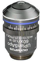 Olympus UPLANSAPO 60x Water Immersion Objective